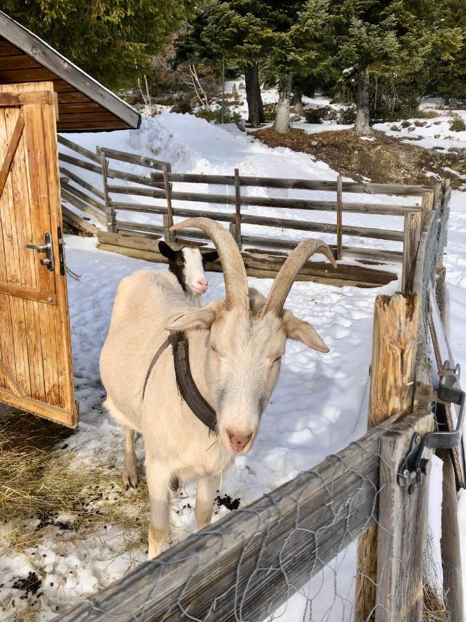 Appartamento T2- 4Pers- Chamrousse Bachat Bouloud Esterno foto