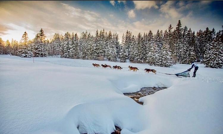 Appartamento T2- 4Pers- Chamrousse Bachat Bouloud Esterno foto